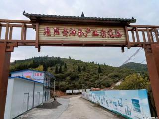 【灌阳县油茶产业示范区】一个有着充实的精神生活的人，对待身外之物自会有一种淡泊的态度 - 鄂尔多斯28生活网 erds.28life.com