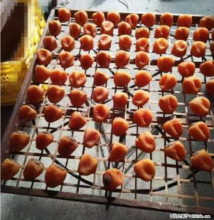 广西桂林平乐桥亭【柿饼之乡】2025年纯手工制作、无任何添加剂的第一批柿饼准备上市了，欢迎联系订购！ - 鄂尔多斯28生活网 erds.28life.com