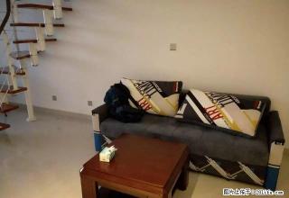 购物中心附近{宏大国际}精装公寓出租带全套家具家电 - 鄂尔多斯28生活网 erds.28life.com