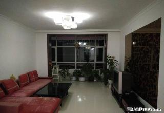 杨家渠附近{新园小区}精装大三居带全套家具 - 鄂尔多斯28生活网 erds.28life.com