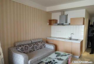 汽车南站《兴蒙公寓》家具齐全 随时看房 - 鄂尔多斯28生活网 erds.28life.com