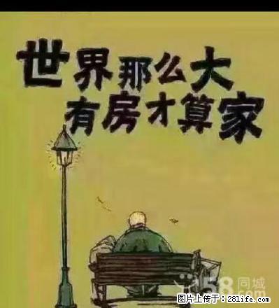 齐家房产出租鑫海小区区一中,八完小附近,包费用 - 房屋出租 - 房屋租售 - 鄂尔多斯分类信息 - 鄂尔多斯28生活网 erds.28life.com