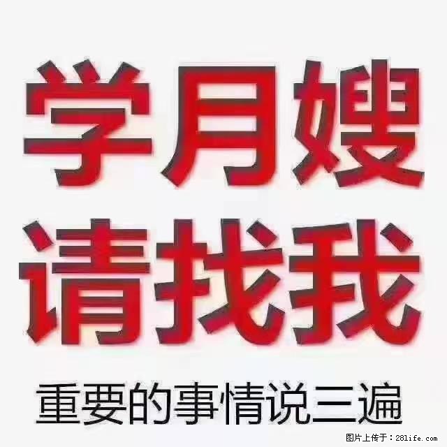 【招聘】月嫂，上海徐汇区 - 职场交流 - 鄂尔多斯生活社区 - 鄂尔多斯28生活网 erds.28life.com