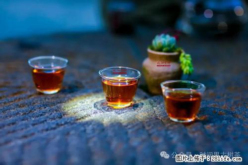 时间果百年古树2025年春红茶 - 购物交流 - 鄂尔多斯生活社区 - 鄂尔多斯28生活网 erds.28life.com