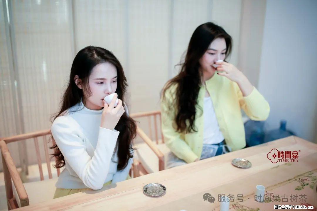 时间果百年古树龙珠普洱生茶 - 购物交流 - 鄂尔多斯生活社区 - 鄂尔多斯28生活网 erds.28life.com