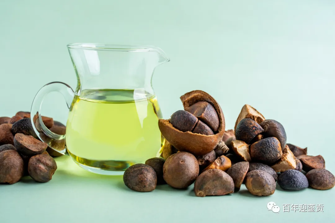 世界没有真相，只有认知，最好的食用油是中国的山茶油！ - 鄂尔多斯生活资讯 - 鄂尔多斯28生活网 erds.28life.com