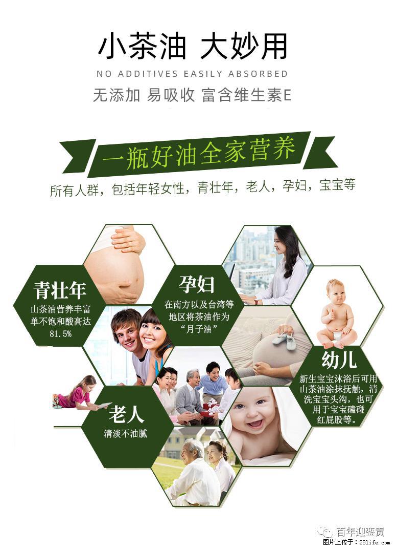 世界没有真相，只有认知，最好的食用油是中国的山茶油！ - 鄂尔多斯生活资讯 - 鄂尔多斯28生活网 erds.28life.com