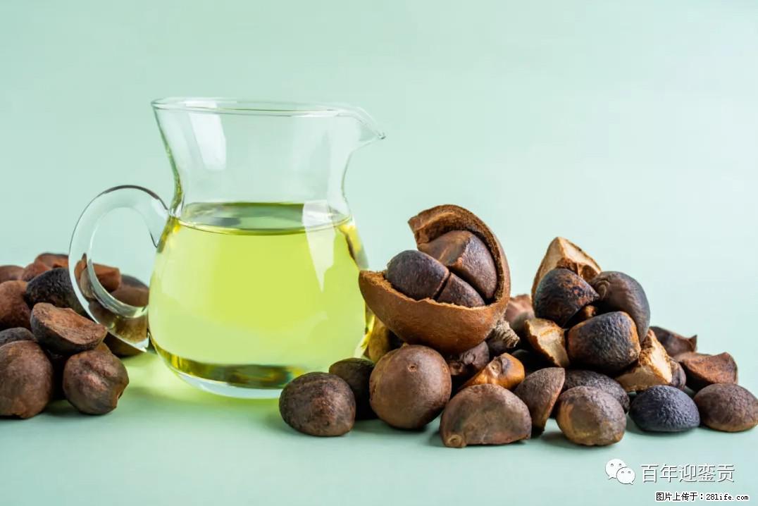 世界没有真相,只有认知,最好的食用油是中国的山茶油! - 鄂尔多斯生活资讯 - 鄂尔多斯28生活网 erds.28life.com