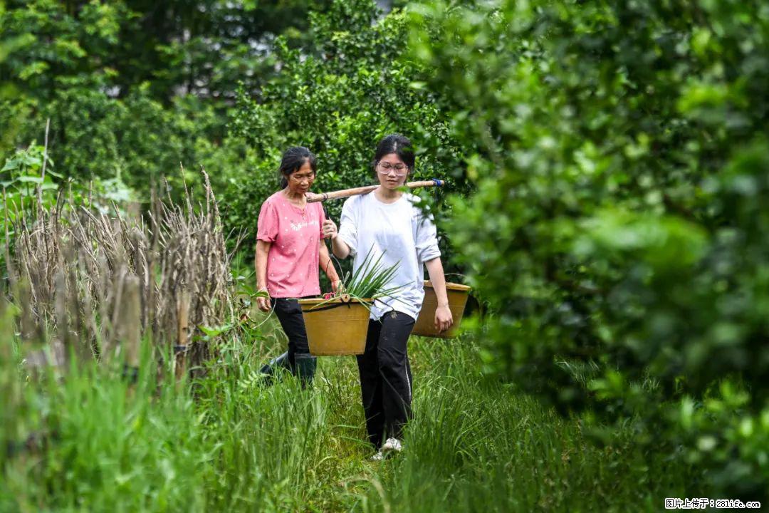 全网追的“扁担女孩”，找了一份暑假工，时薪12元 - 鄂尔多斯生活资讯 - 鄂尔多斯28生活网 erds.28life.com