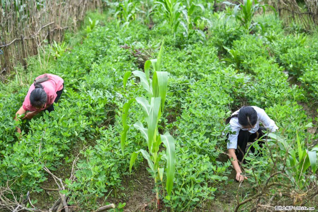 全网追的“扁担女孩”，找了一份暑假工，时薪12元 - 鄂尔多斯生活资讯 - 鄂尔多斯28生活网 erds.28life.com