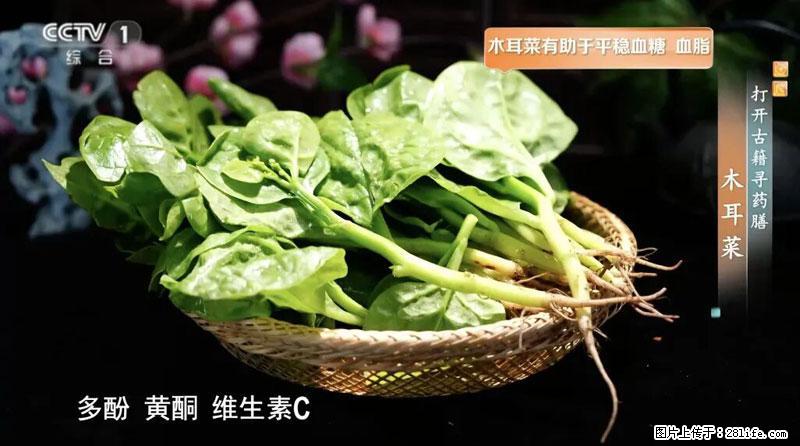 比牛奶补钙还厉害！凉血解毒、稳血糖...这菜冬天必吃，很多人却当草 - 鄂尔多斯生活资讯 - 鄂尔多斯28生活网 erds.28life.com