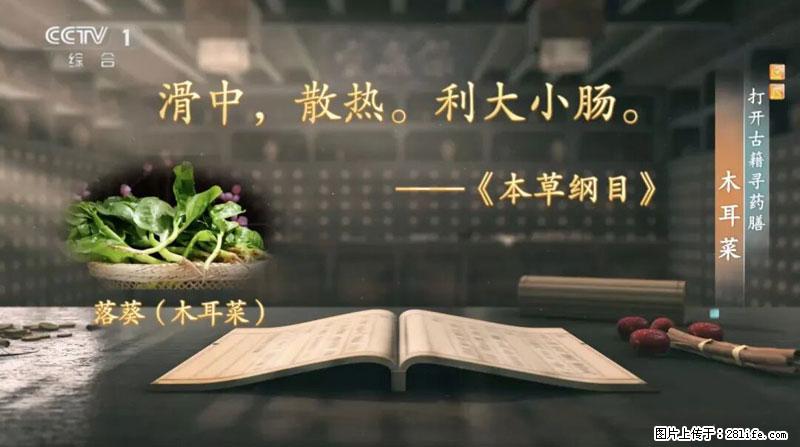 比牛奶补钙还厉害！凉血解毒、稳血糖...这菜冬天必吃，很多人却当草 - 鄂尔多斯生活资讯 - 鄂尔多斯28生活网 erds.28life.com