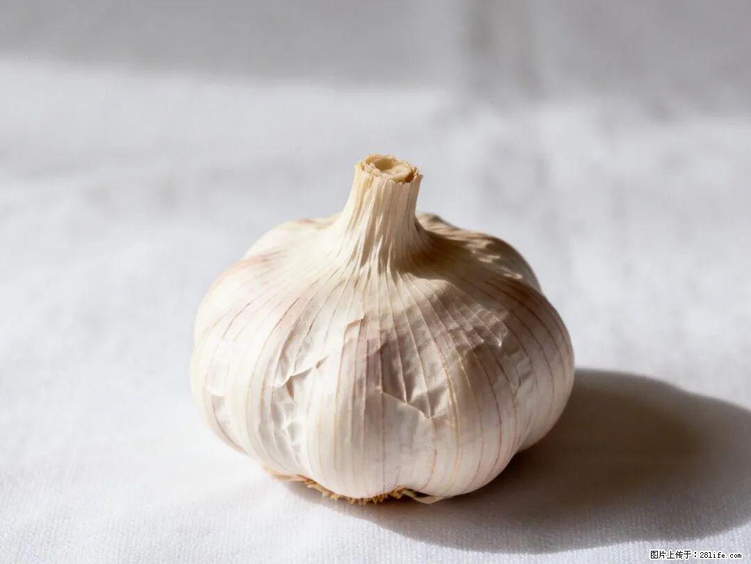 关于大蒜，除了“天然抗生素”，这4个谣言更该警惕! - 鄂尔多斯生活资讯 - 鄂尔多斯28生活网 erds.28life.com