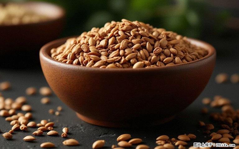 这三苦是三高“克星”，心血管干净不易堵！每天吃一点，指标慢慢降下来~ - 鄂尔多斯生活资讯 - 鄂尔多斯28生活网 erds.28life.com