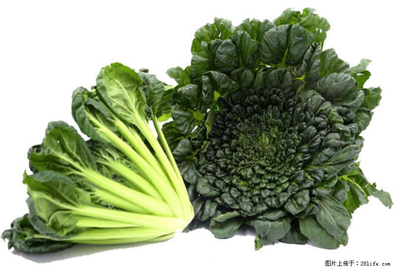 这些蔬菜是“天然钙片”，这6种被医生重点推荐 - 鄂尔多斯生活资讯 - 鄂尔多斯28生活网 erds.28life.com