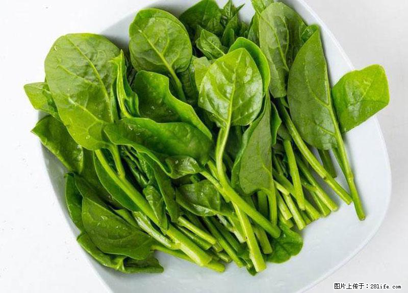 这些蔬菜是“天然钙片”，这6种被医生重点推荐 - 鄂尔多斯生活资讯 - 鄂尔多斯28生活网 erds.28life.com