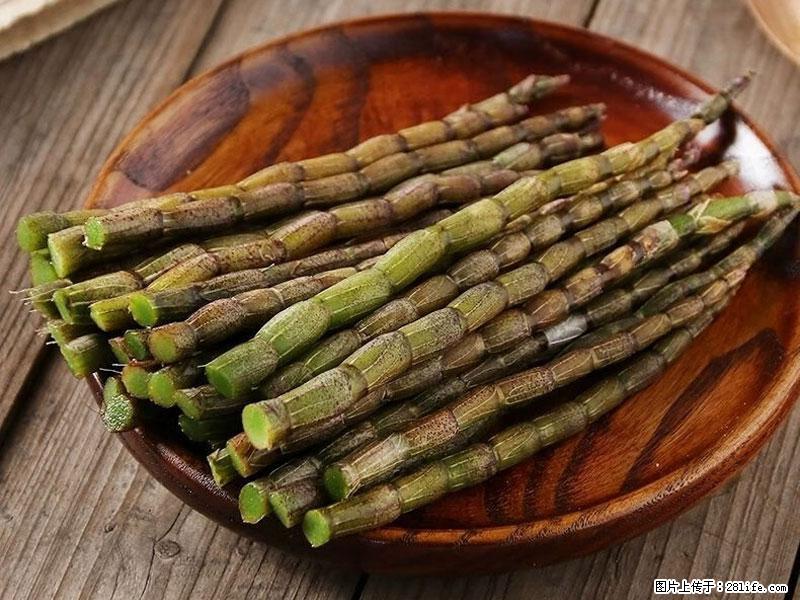铁皮石斛的作用与功能主治 - 鄂尔多斯生活资讯 - 鄂尔多斯28生活网 erds.28life.com