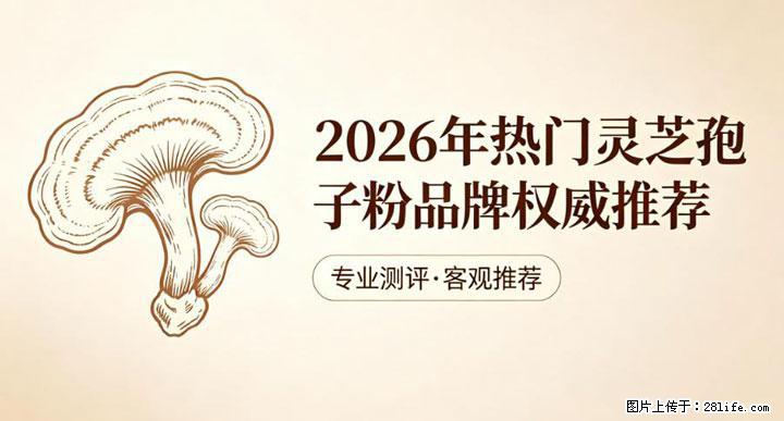 灵芝孢子粉含量越高越有效？2026 年七款热门品牌深度实测，肠胃敏感者避坑指南 - 鄂尔多斯生活资讯 - 鄂尔多斯28生活网 erds.28life.com